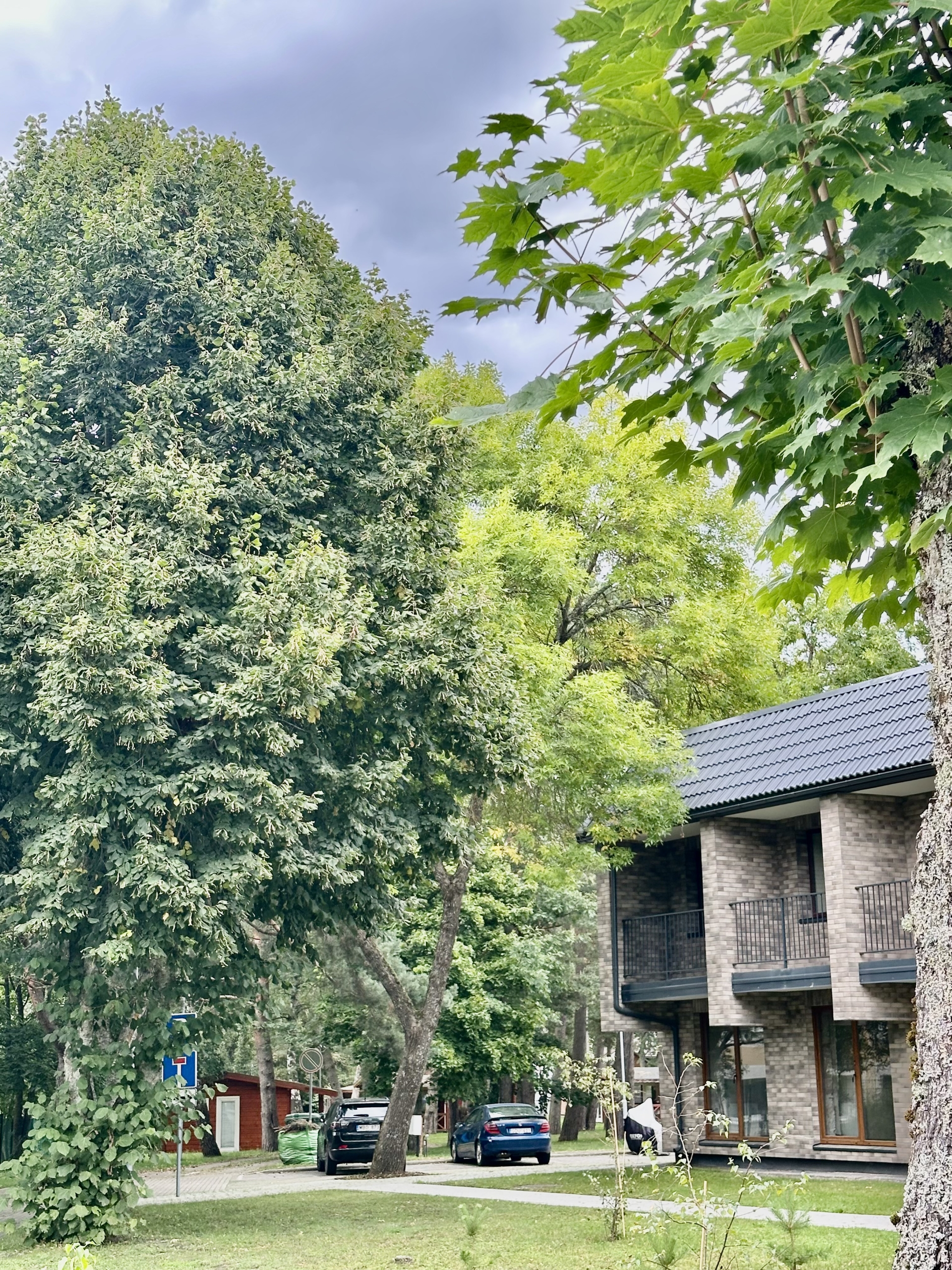 POILSIO ERDVĖ PUŠŲ APSUPTYJE, IKI JŪROS – VOS 7 MIN. PĖSČIOMIS!