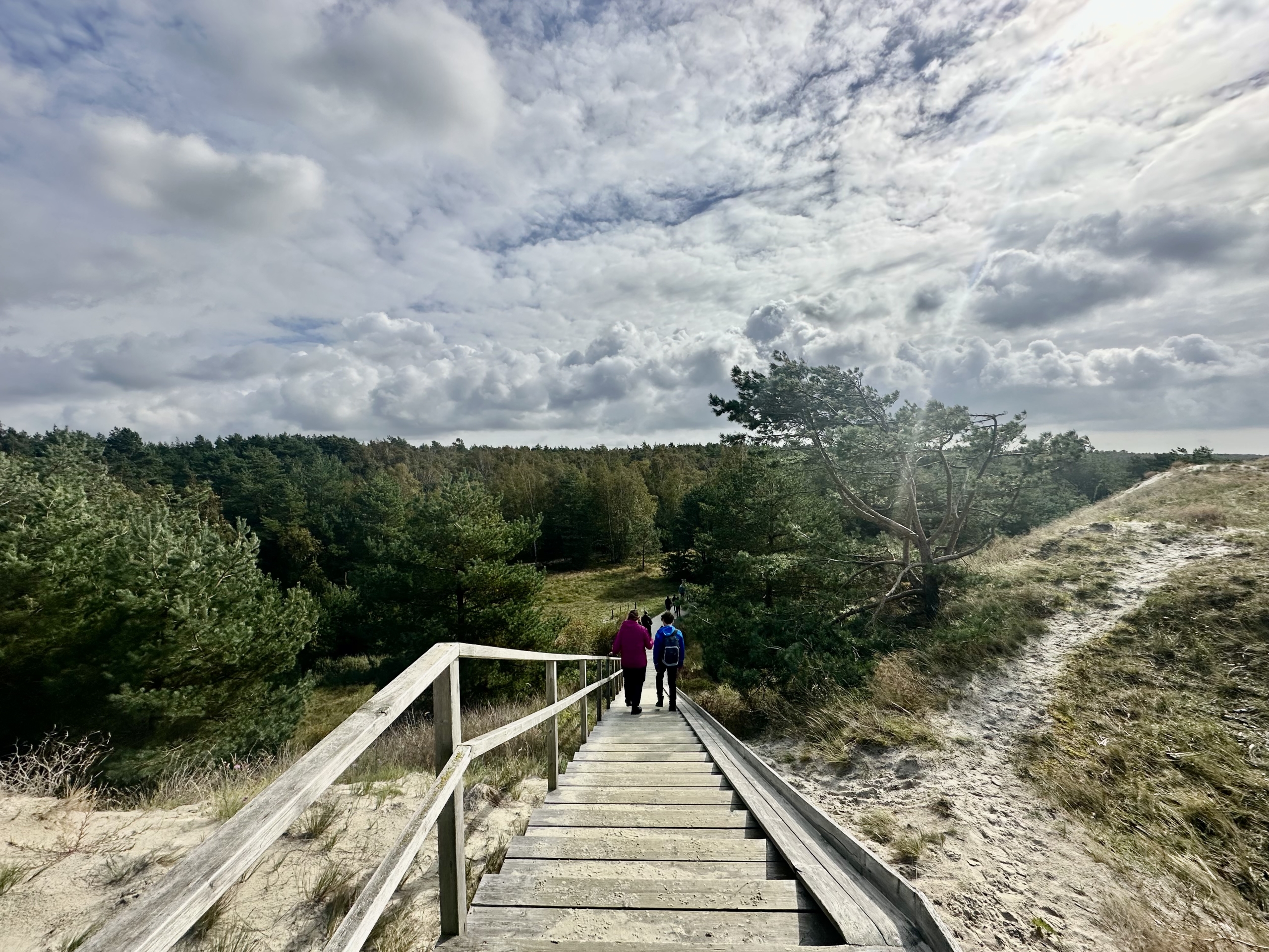 POILSIO ERDVĖ PUŠŲ APSUPTYJE, VISAI ŠALIA JŪROS – GIRULIAI
