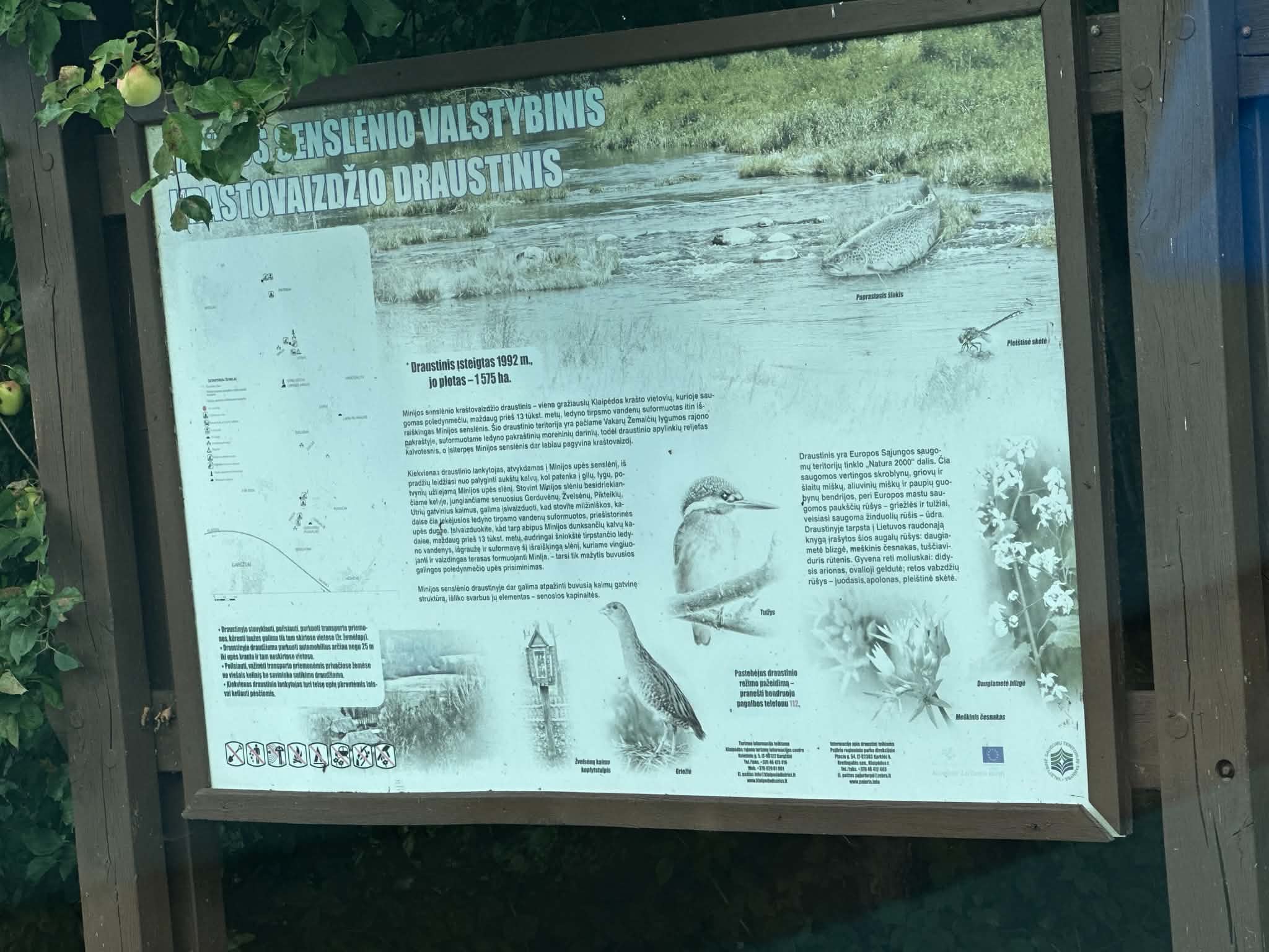 PARDUODAMAS 1,55 HA REKREACINIS ŽEMĖS SKLYPŲ MASYVAS PRIE MINIJO UPĖS GERDUVĖNUOSE